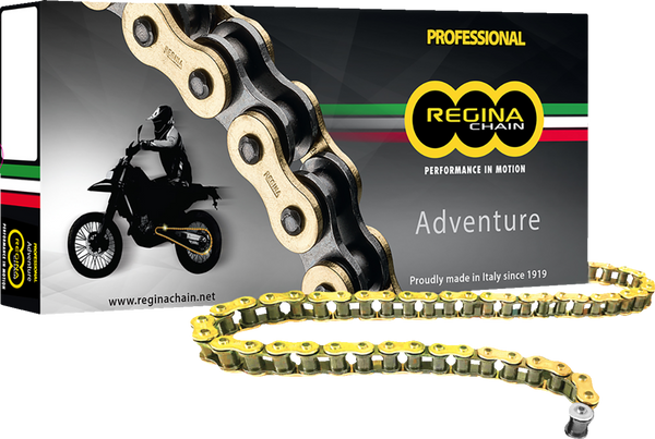 Regina 520ZRE Z-Ring Chain