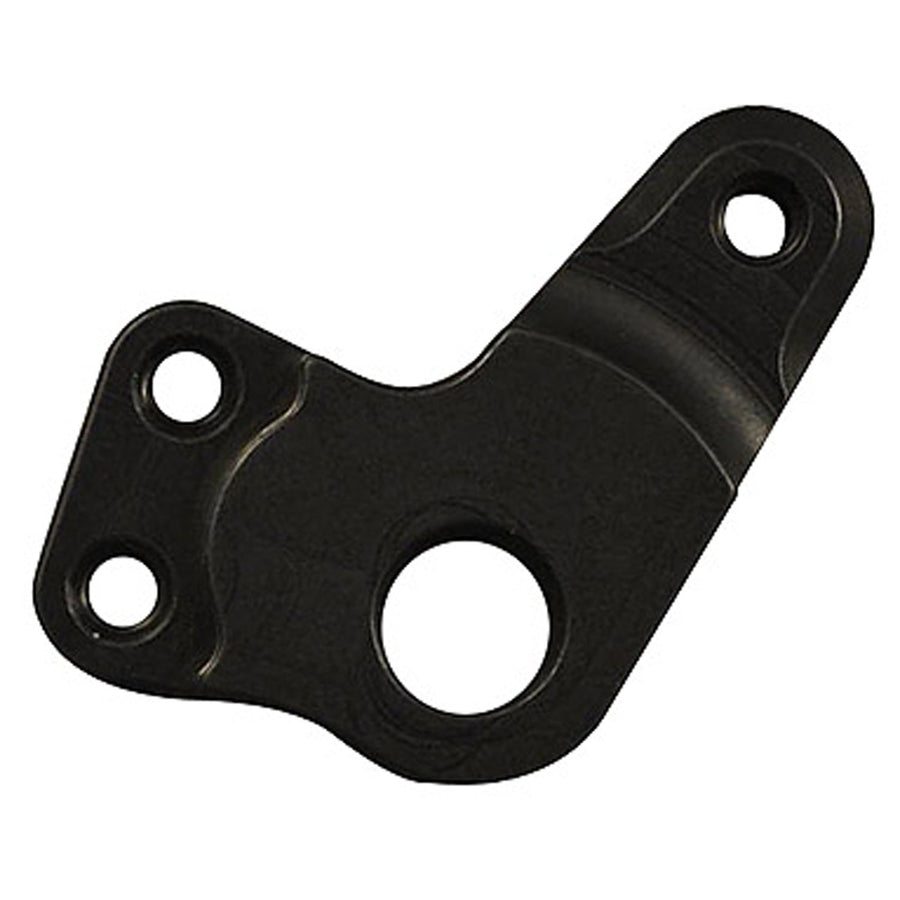 08-0731P Aprilia RS125 GP Shift Pivot