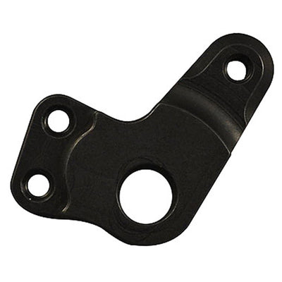 08-0731P Aprilia RS125 GP Shift Pivot