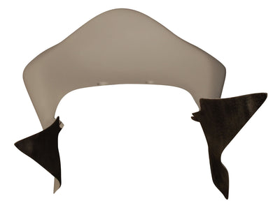 71-0145TSS 2005-06 Kawasaki ZX6R Supersport Tail