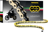 Regina 520ZRE Z-Ring Chain