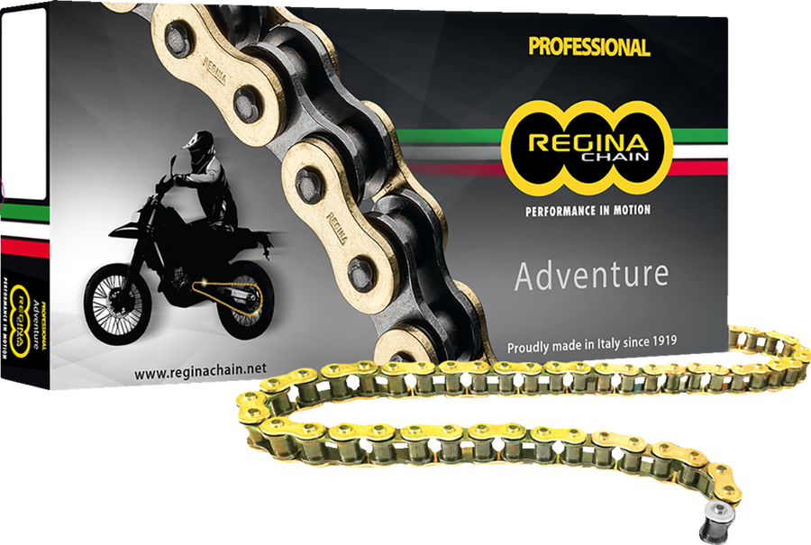 Regina 525ZRE Z-Ring Chain — 120 links